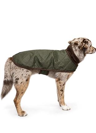 Huntleys dog wax jacket  собачая накидка/попонка/дождевик на небольшую собаку