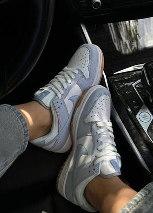 Nike sb dunk low premium 2