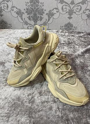 Кросівки adidas