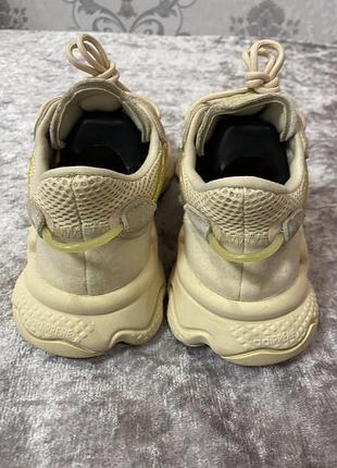 Кросівки adidas 6
