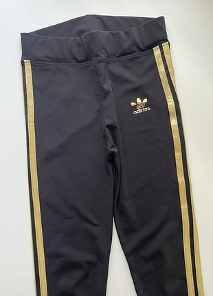Лосины adidas 2