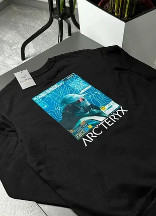 Світшот arcteryx gorpcore 3
