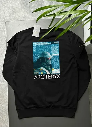 Свитшот arcteryx gorpcore