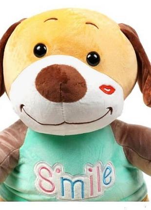 Игрушка-плед собачка smile 3в1 36см (плед 100*150см) бирюзовая