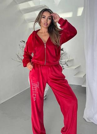 Стильный костюм велюровый 5