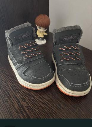 Хайтопи adidas 2