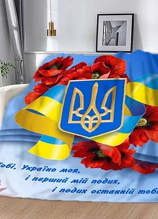 Плед 3d патріотичний "україно моя" 12595 160х200 см