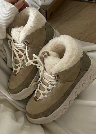 Черевики жіночі утепленні уггі ugg