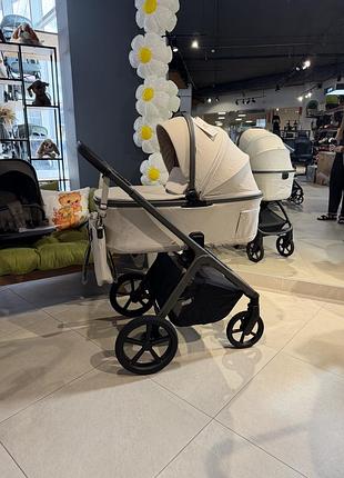 Коляска універсальна carrello vector crl-6700 2в1 zephyr beige