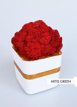 Подарунок. кашпо з білого бетону зі скандинавським мохом "white&red", s118|2