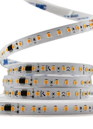 Світлодіодна led стрічка prolum run 24v 2835120 ip20 series smart тепло-білий 2800-3200k