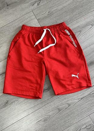 Шорты puma красный