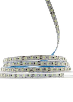 Світлодіодна led стрічка prolum 12v ip20 2835\120 s-type series s блакитний лід