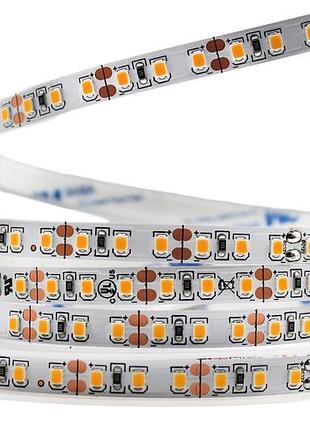 Світлодіодна led стрічка prolum 12v 2835\120 ip20 series "pro" білий (5500-6000к)
