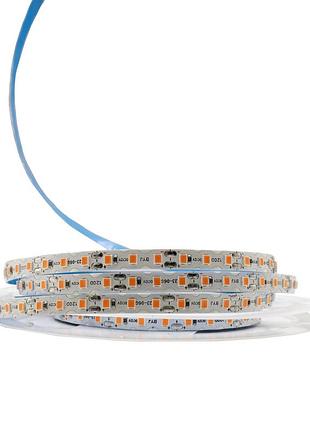 Світлодіодна led стрічка prolum 12v ip20 2835\120 s-type series s помаранчевий