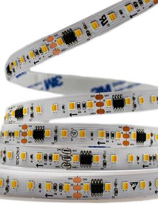 Світлодіодна led стрічка prolum run 24v 2835120 ip20 series smart білий+тепло-білий 2700-6500k