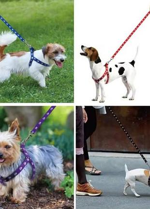 Шлея регулируемая по объему с поводком для домашних любимцев 124см pet1.2 розовый