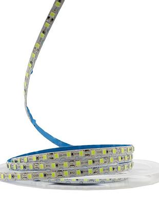 Світлодіодна led стрічка prolum 12v ip20 2835\120 s-type series s фіолетовий