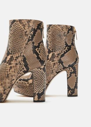 Кожаные ботинки zara5 фото
