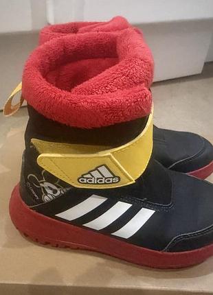 Зиомві чоботи adidas 30 розмір
