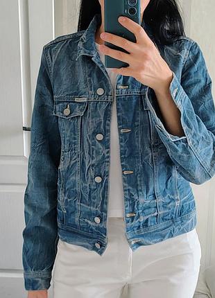 Calvin klein,  джинсова куртка 10