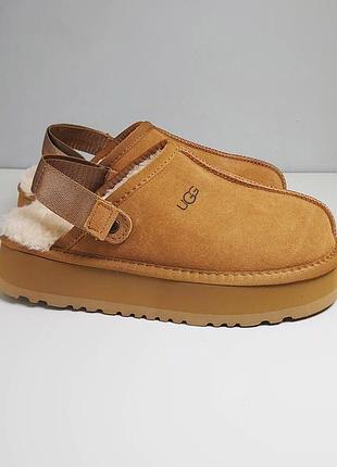 Сабо, клоги замшеві ugg goldenstar clog winter f19010d leather suede 39 розмір