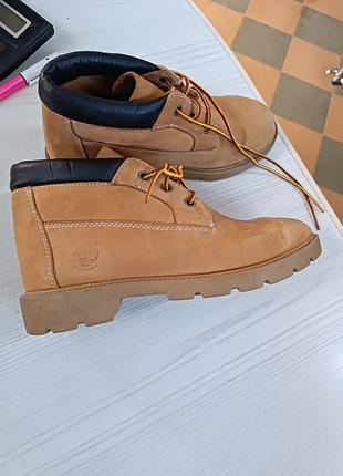Черевики timberland 6