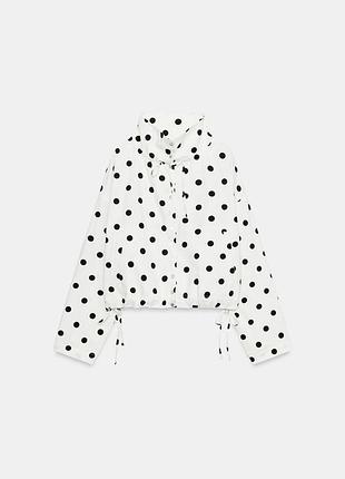 Куртка бомбер в горох zara new 3