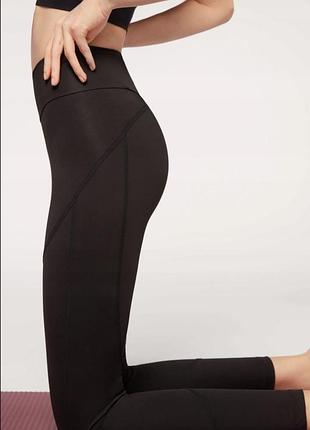 Лосини від італійського бренду calzedonia