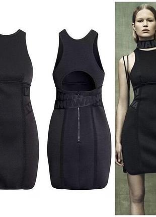 Сукня культової колаборації alexander wang для h&m