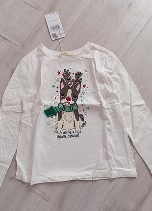 Новый реглан от mango