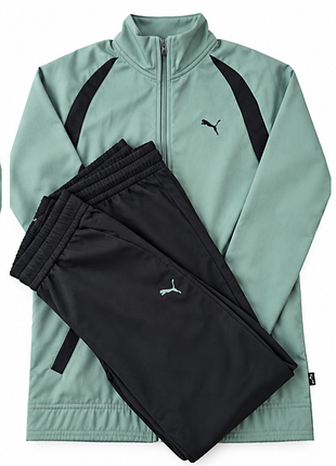 Спортивний костюм puma 2