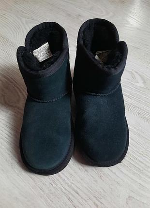 Замшевые ugg угги сапоги чоботи 4
