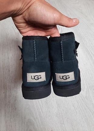 Замшевые ugg угги сапоги чоботи 5