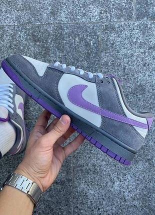 Кросівки sb dunk low purple/orange 2