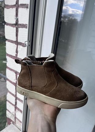 Черевики ugg коричневі замшеві