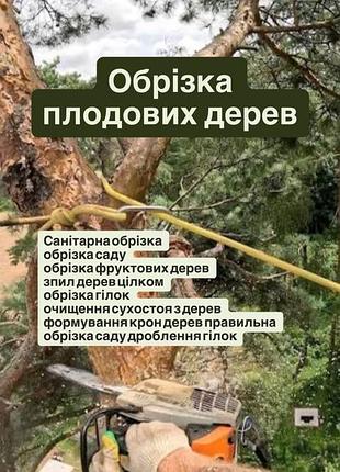 Обробка саду санітарна обрізка обрізка саду обрізка фруктових дерев зпил дерев цілком обрізка гілок очищення сухостоя з дерев  правильна обрізка саду