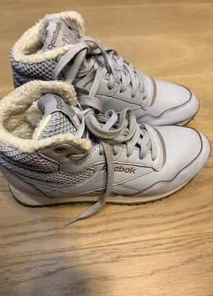 Жіночі утеплені кросівки reebok classic (зима/єврозима