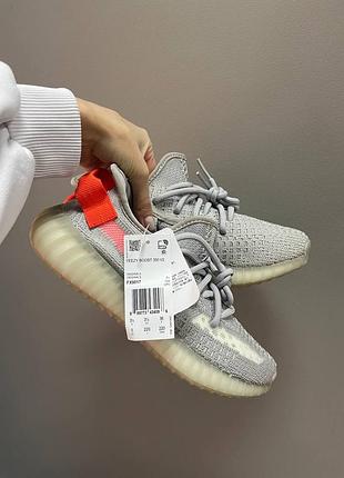 Кросівки adidas yeezy 350 tail light
