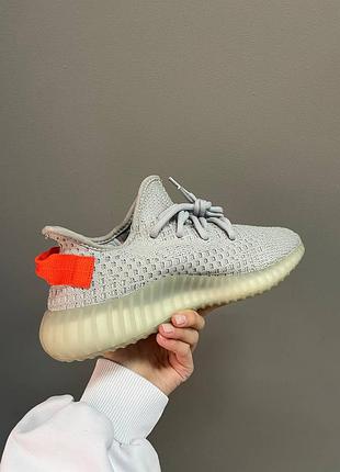 Кроссовки adidas yeezy 350 tail light 6