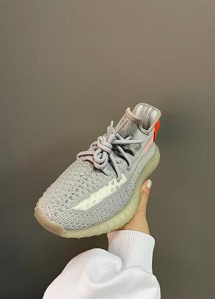 Кроссовки adidas yeezy 350 tail light 5