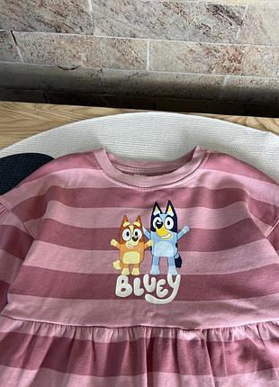 Сукня батнічок bluey 2