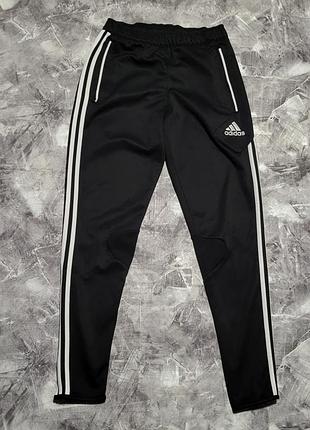 Детские спортивные штаны adidas climacool