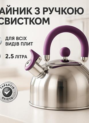 Чайник зі свистком бакелітовою ручкою, сталевий чайник для газової і електроплити ta-42