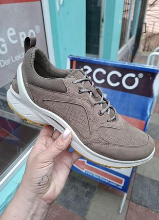 Кросівки ecco biom energi модель 85081402559 8