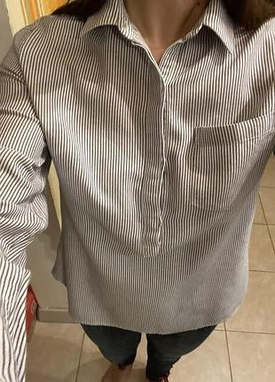 Белая блуза в серую трендовую полоску zara