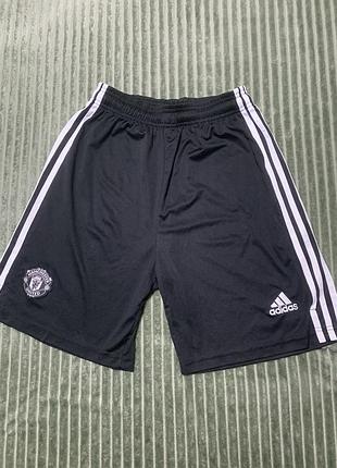 Спортивні шорти чоловічі adidas manchester united чорні