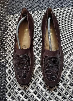 Лоферы женские scolaro 1890 коричневые кожаные