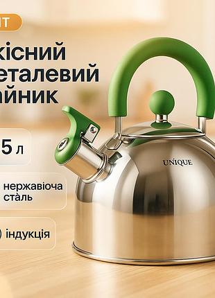 Красивый чайник для газовой комфорки unique, чайник со свистком бакелитовой ручкой xg-69