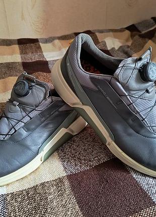 Кросівки ecco biom h4 boa system gore-tex